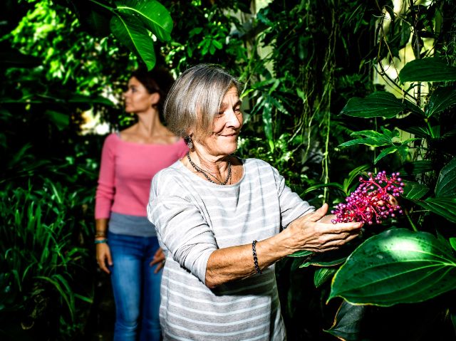 Seniorin wendet sich im botanischen Garten lächelnd einer Pflanze mit pinken Knospen zu.